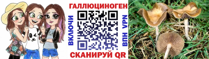 МЕГА как войти  Брюховецкая  Галлюциногенные грибы прущие грибы 